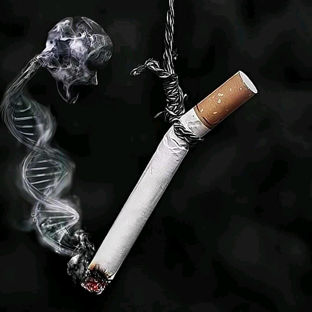 孤城西门
