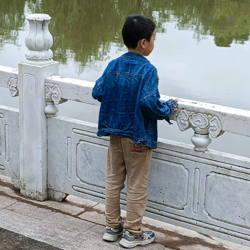 与李同行