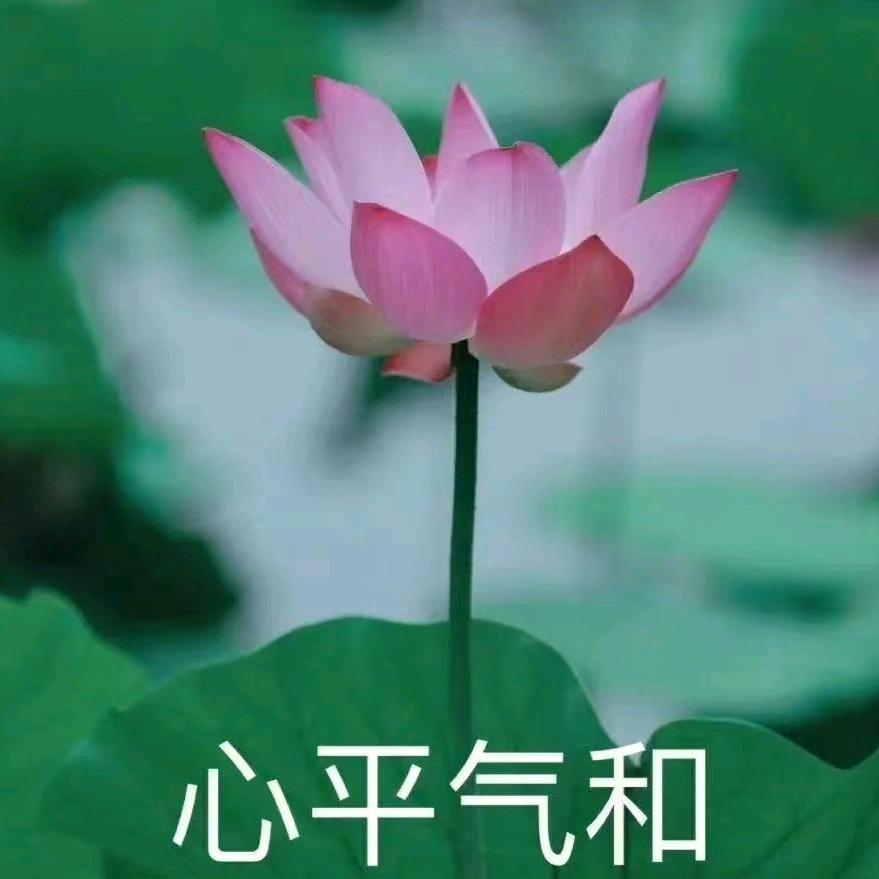拼搏才是王道