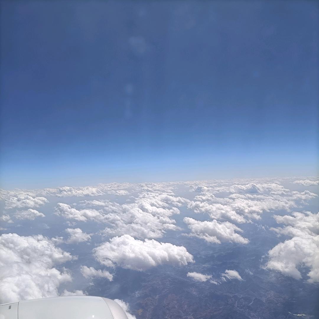 春风吹绿江南岸