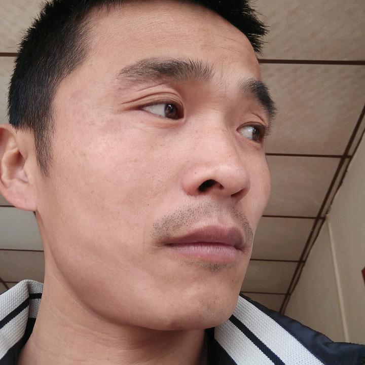 会飞的鱼