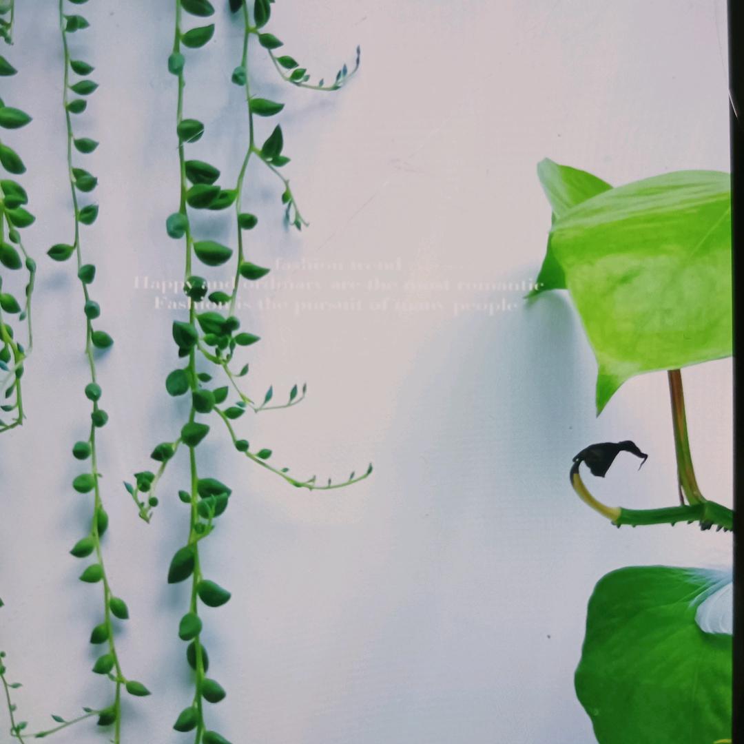 果果带娃