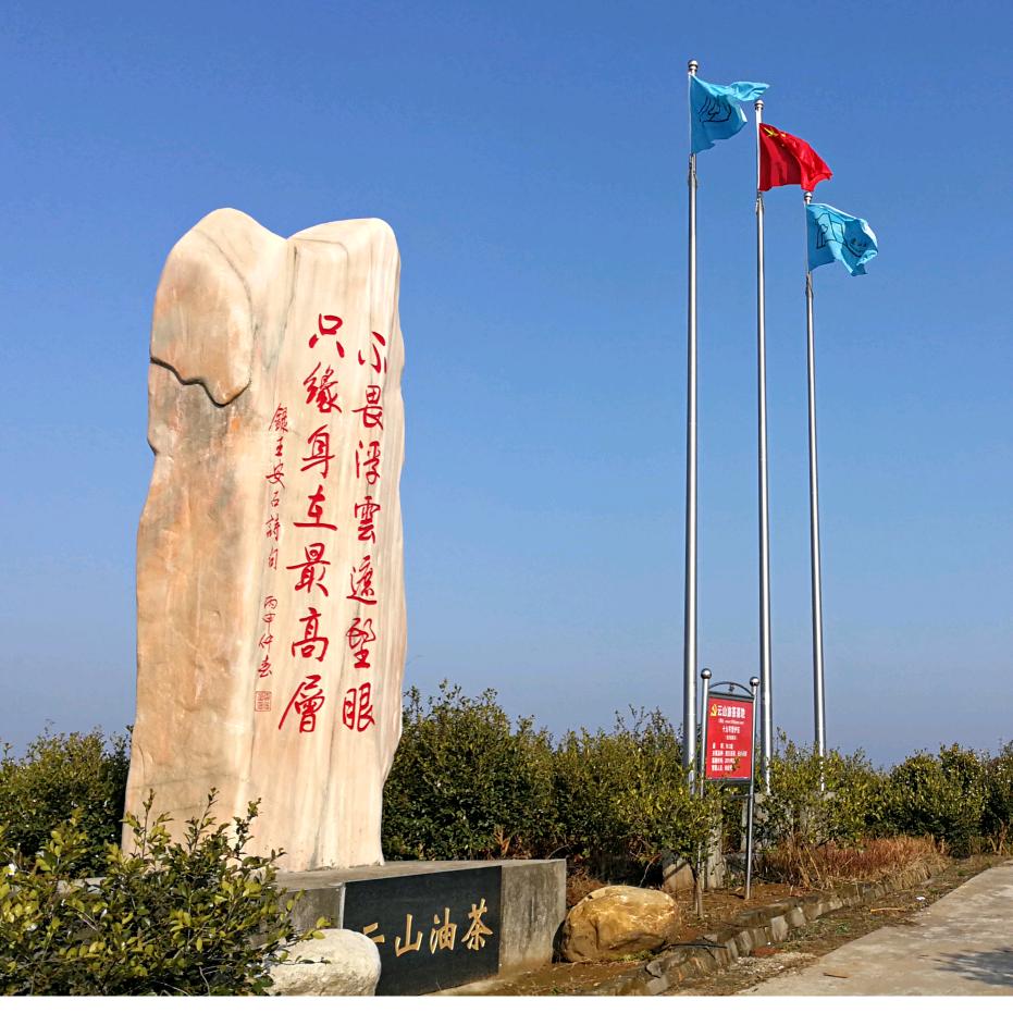 云山油茶