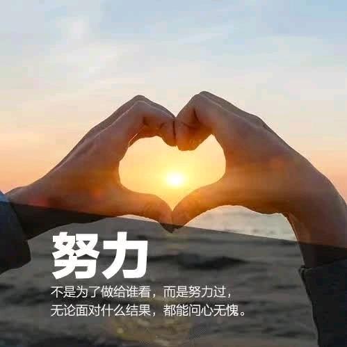 马姐～专业造机～乔绒～锦绒～韩绒系列