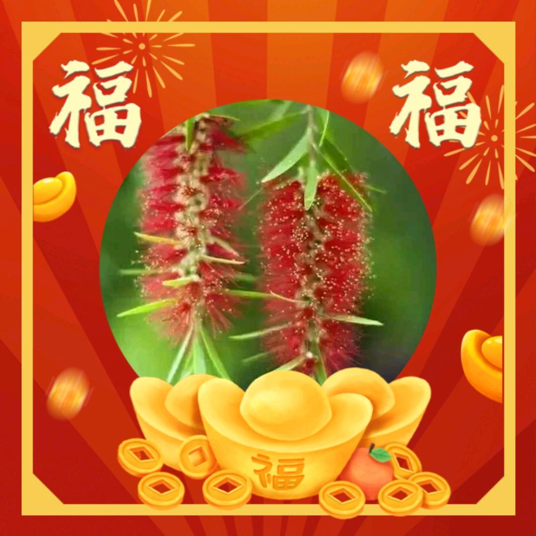 往事随风