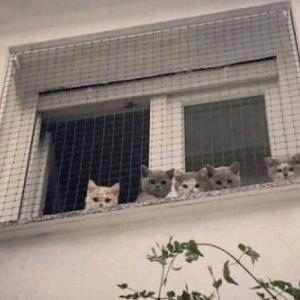悄悄♛努力㎡
