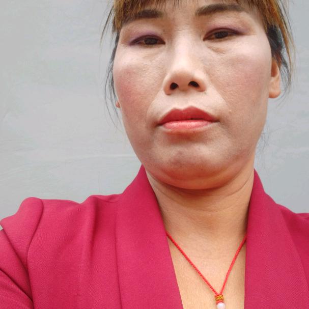 大肥猫