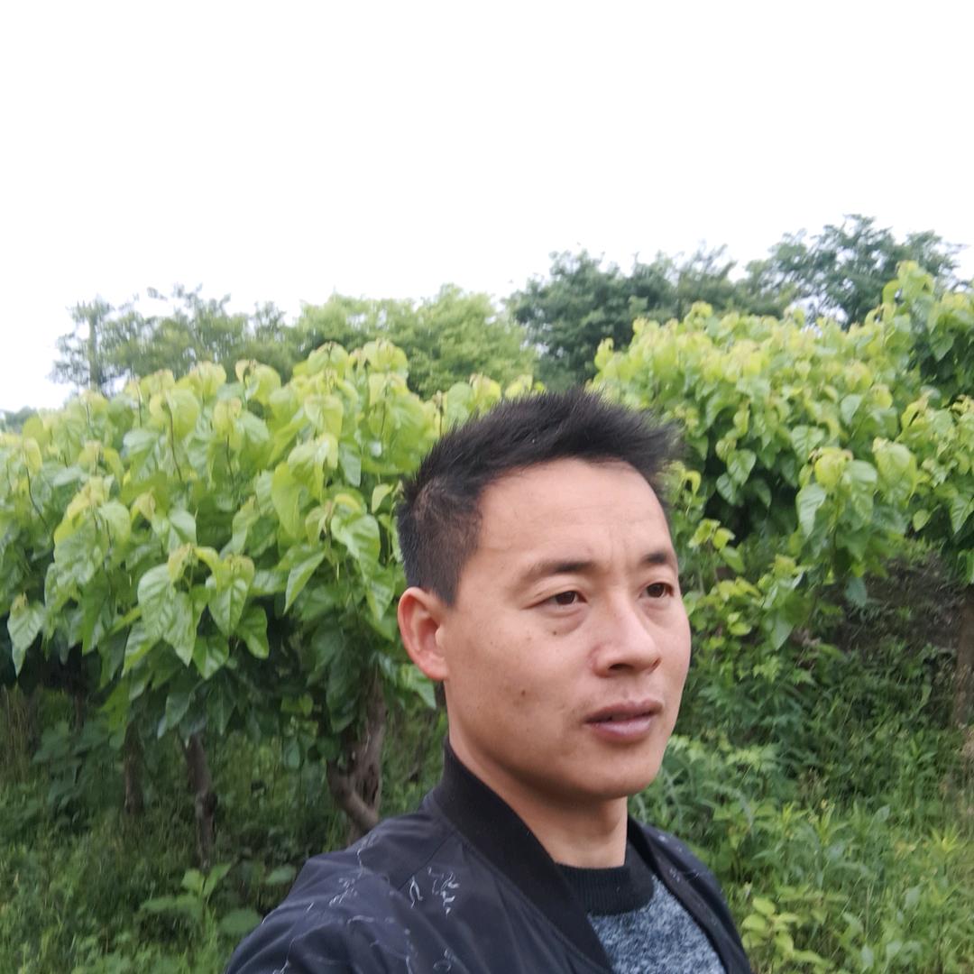 有需要做罗马艺术的，可以联系我们呢