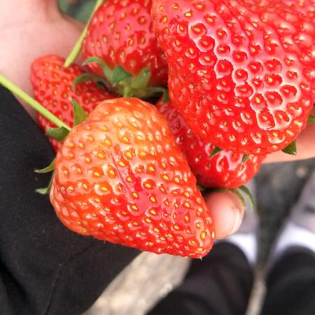 💞ꦿꕥ᭄遇࿆见ꦿঞ🥀᭄ꦿ⸙