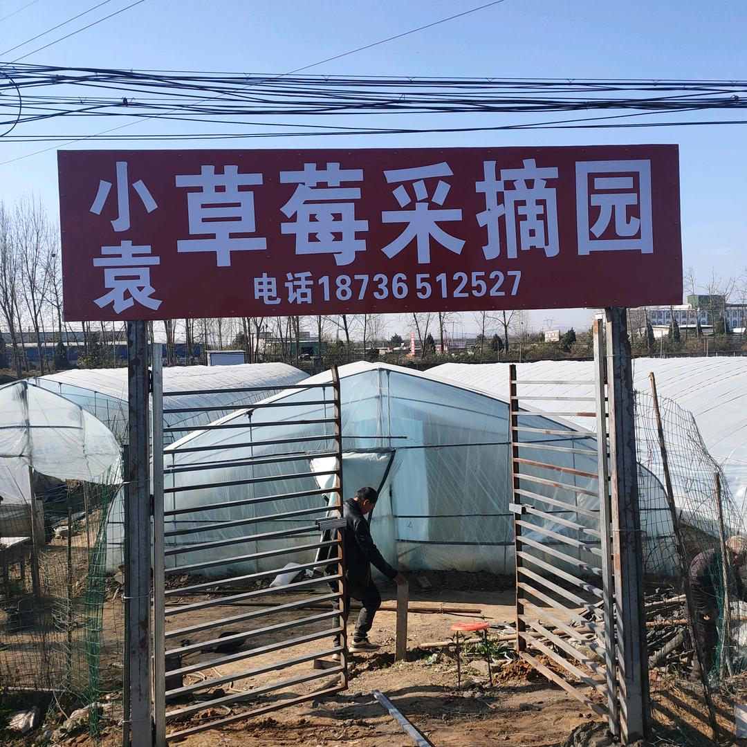 小袁草莓园