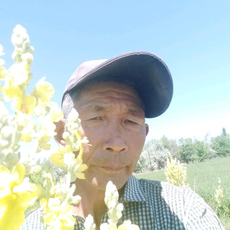 真爱一生