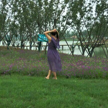 太和税镇香樟园野生垂钓