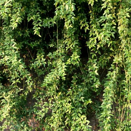 宏悦兽药