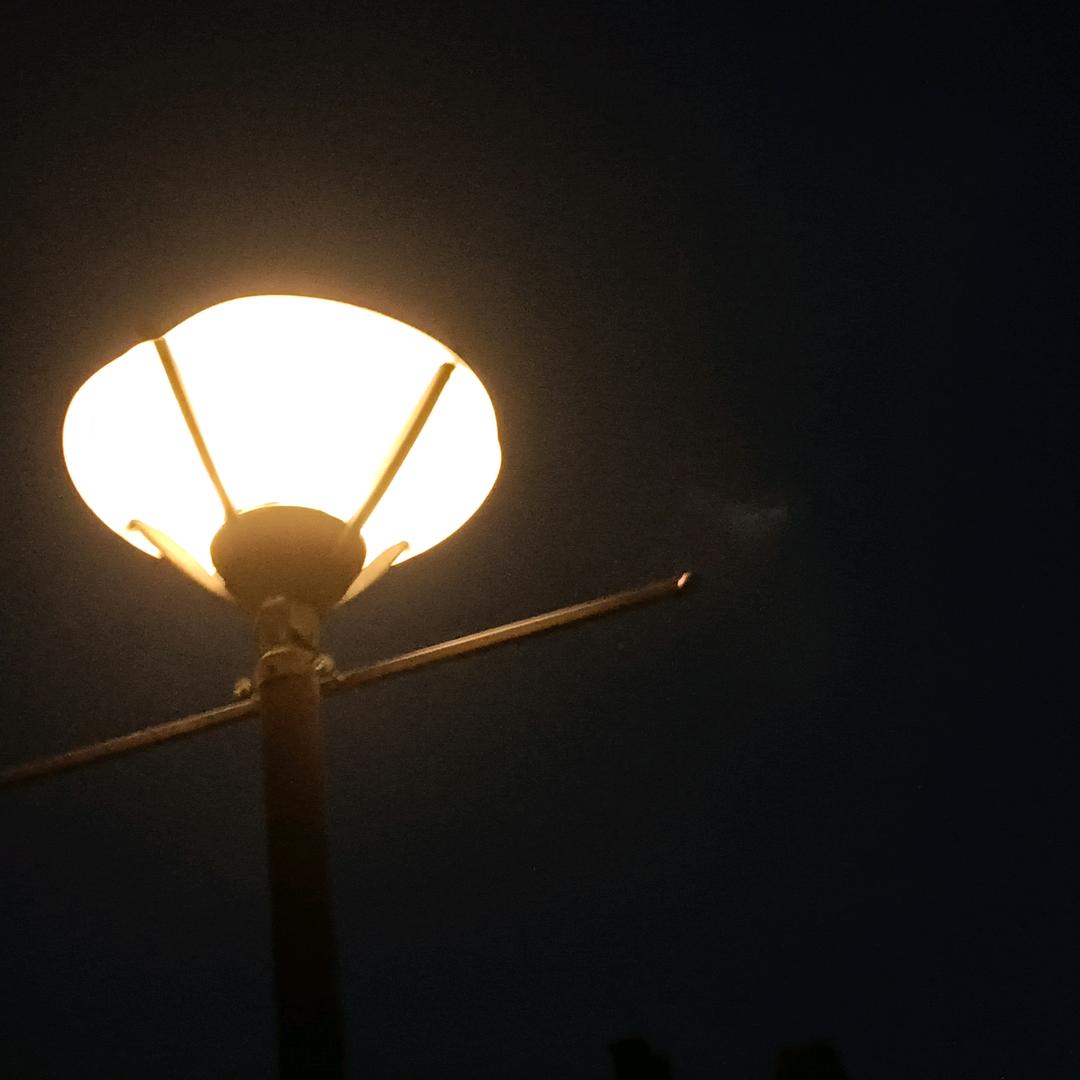 好好吃饭的范范