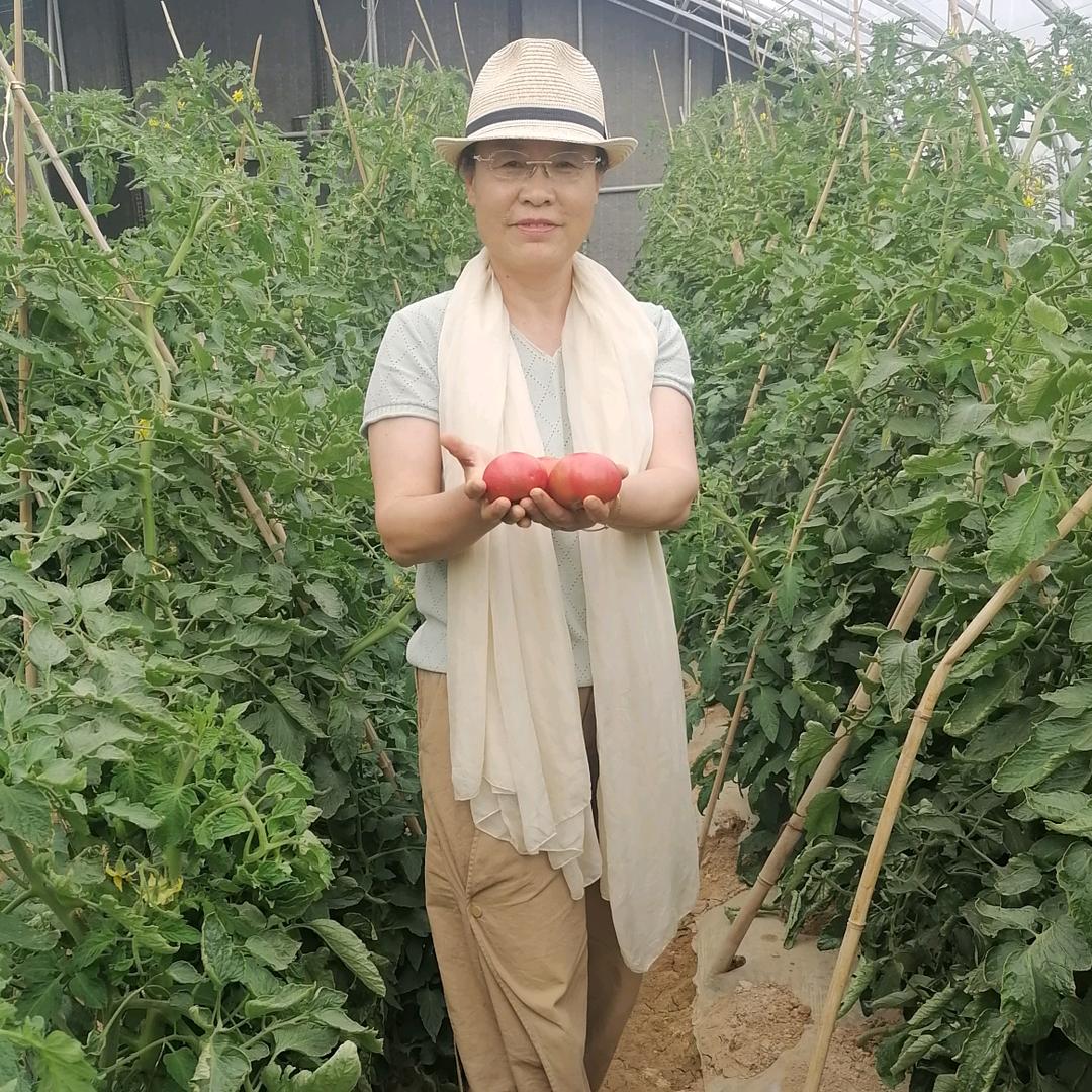 兰州绿洲贤居种植养殖专业合作社