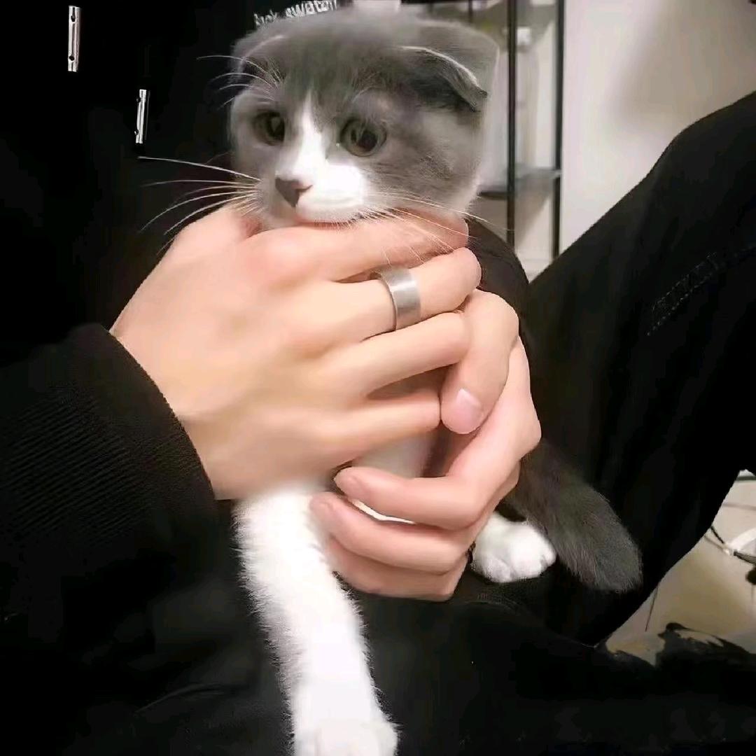 是柚子呀