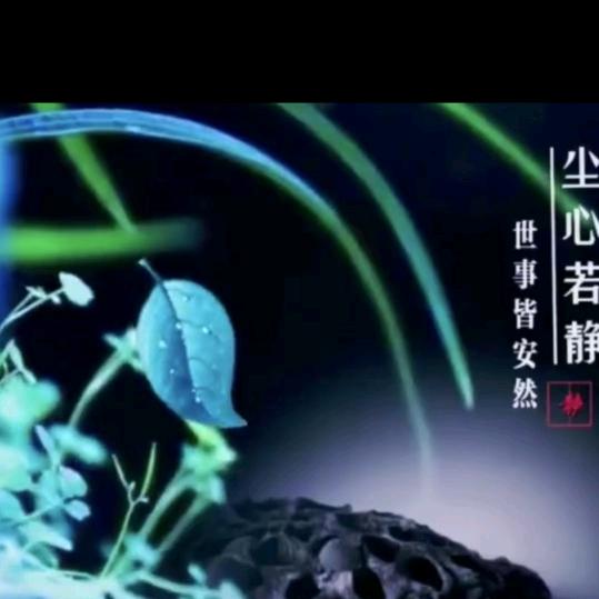 白水