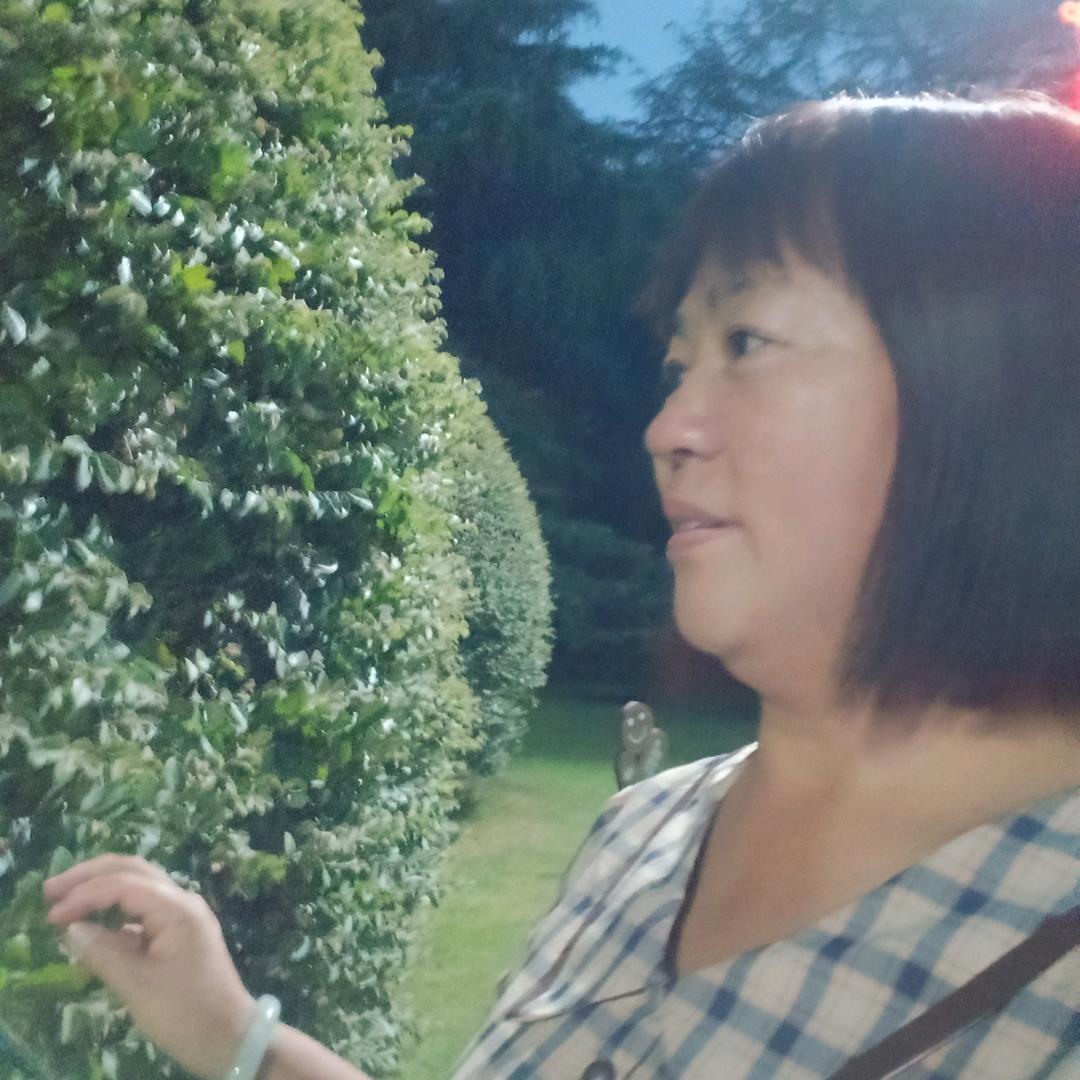 永远不变的支芝