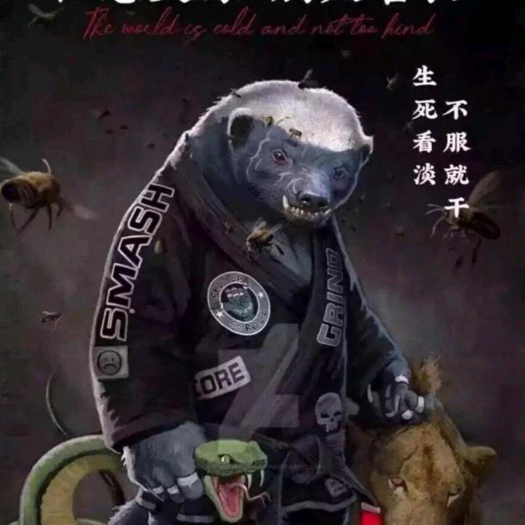 一帆风顺！阿顺！