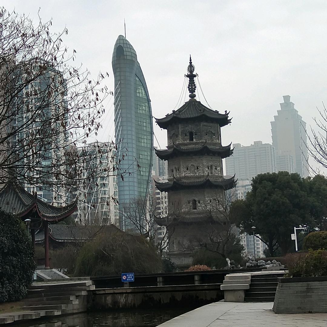 杨杨得意🇨🇳