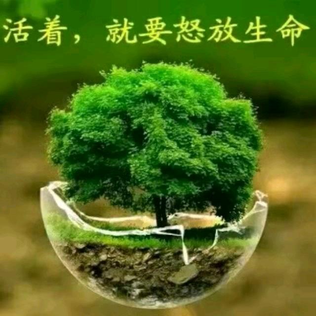 水墨雪