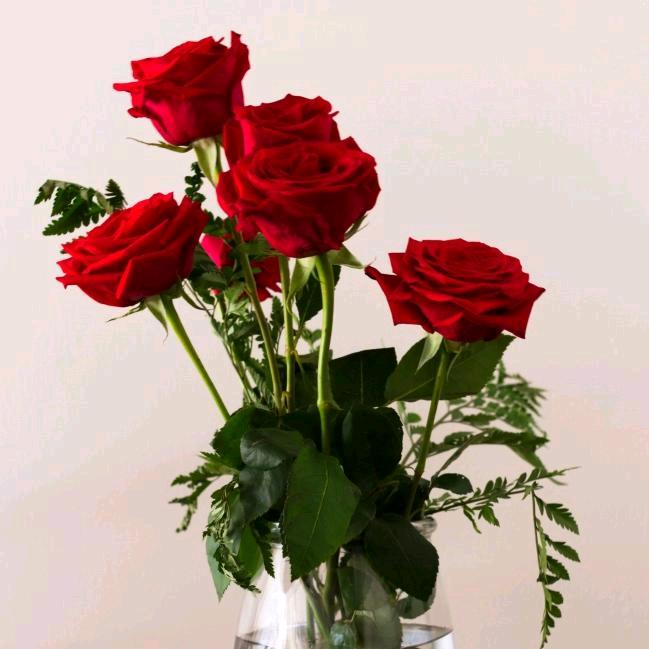 辞旧迎新🎆🎆🎆🎆🎆