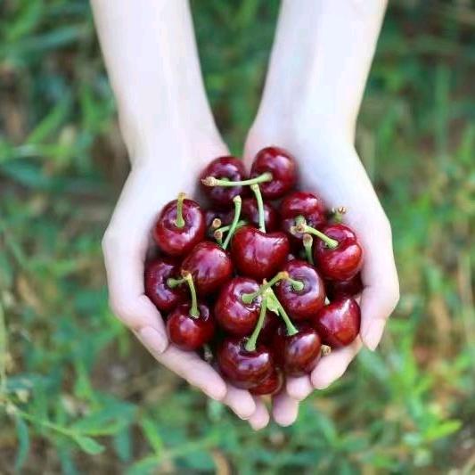 一定是特别的缘份等到你