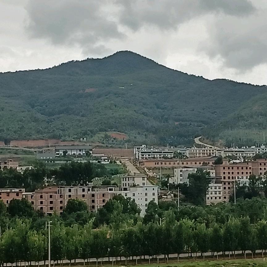 壹缕阳光