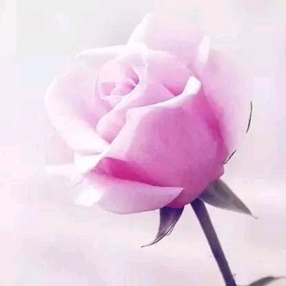 ໑ຼₒ₂₃ღ᭄吴晒厘头🦋꧔ꦿ᭄💞