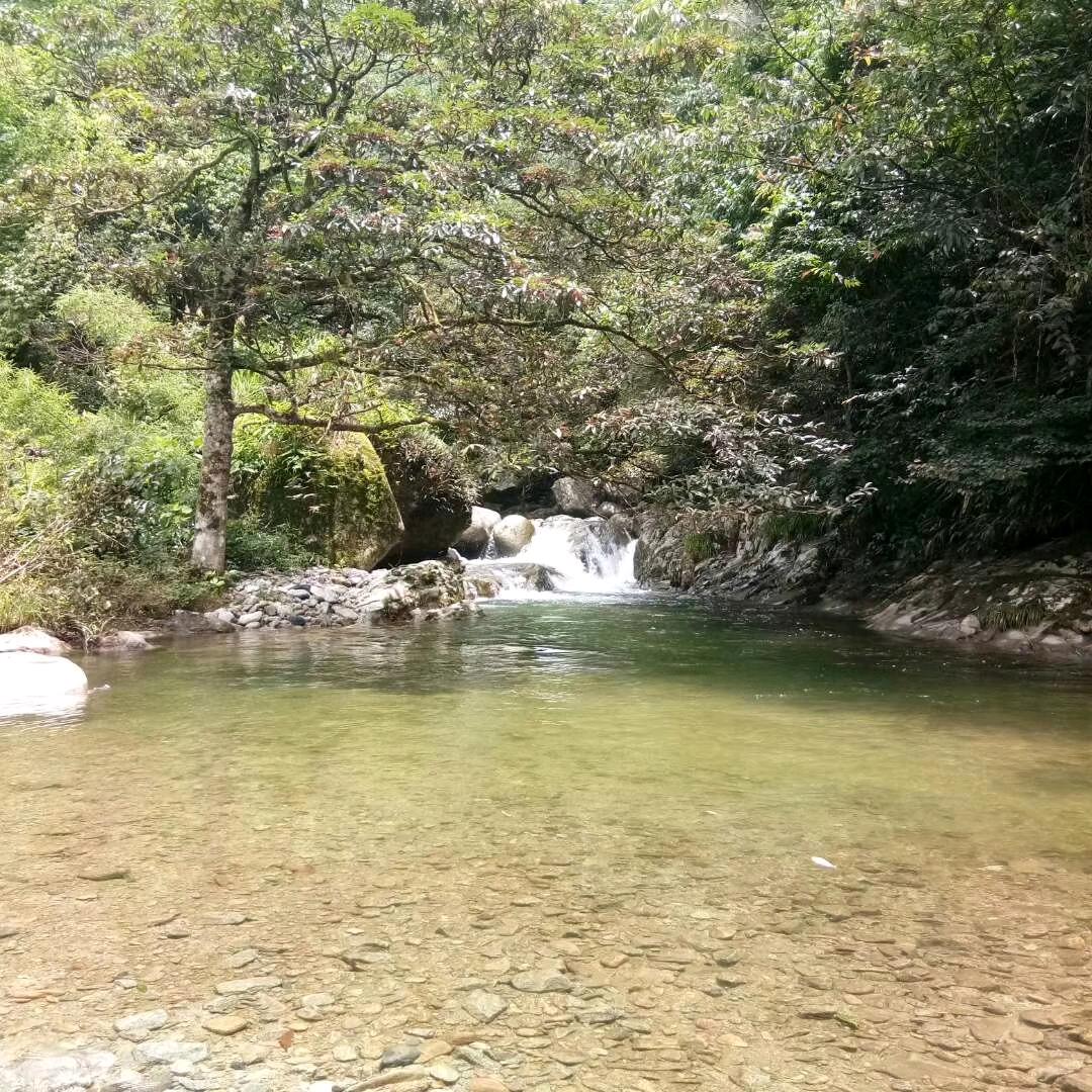 斌哥