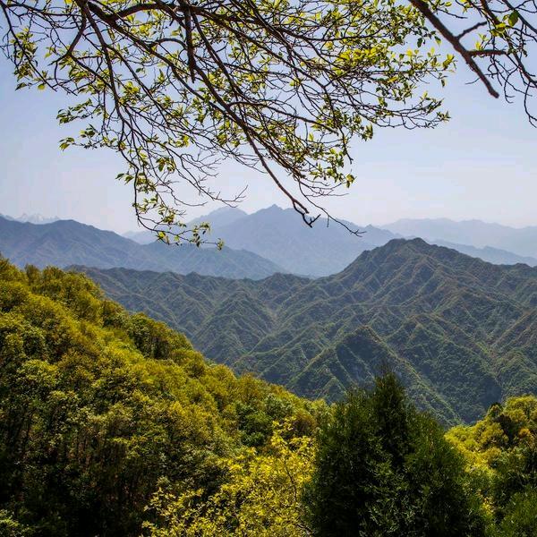 大山情怀