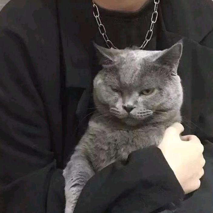 藏好