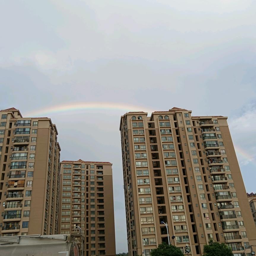 桔子洗车官方号