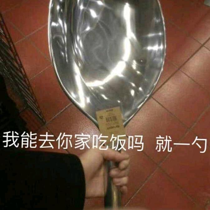 每天吃很饱