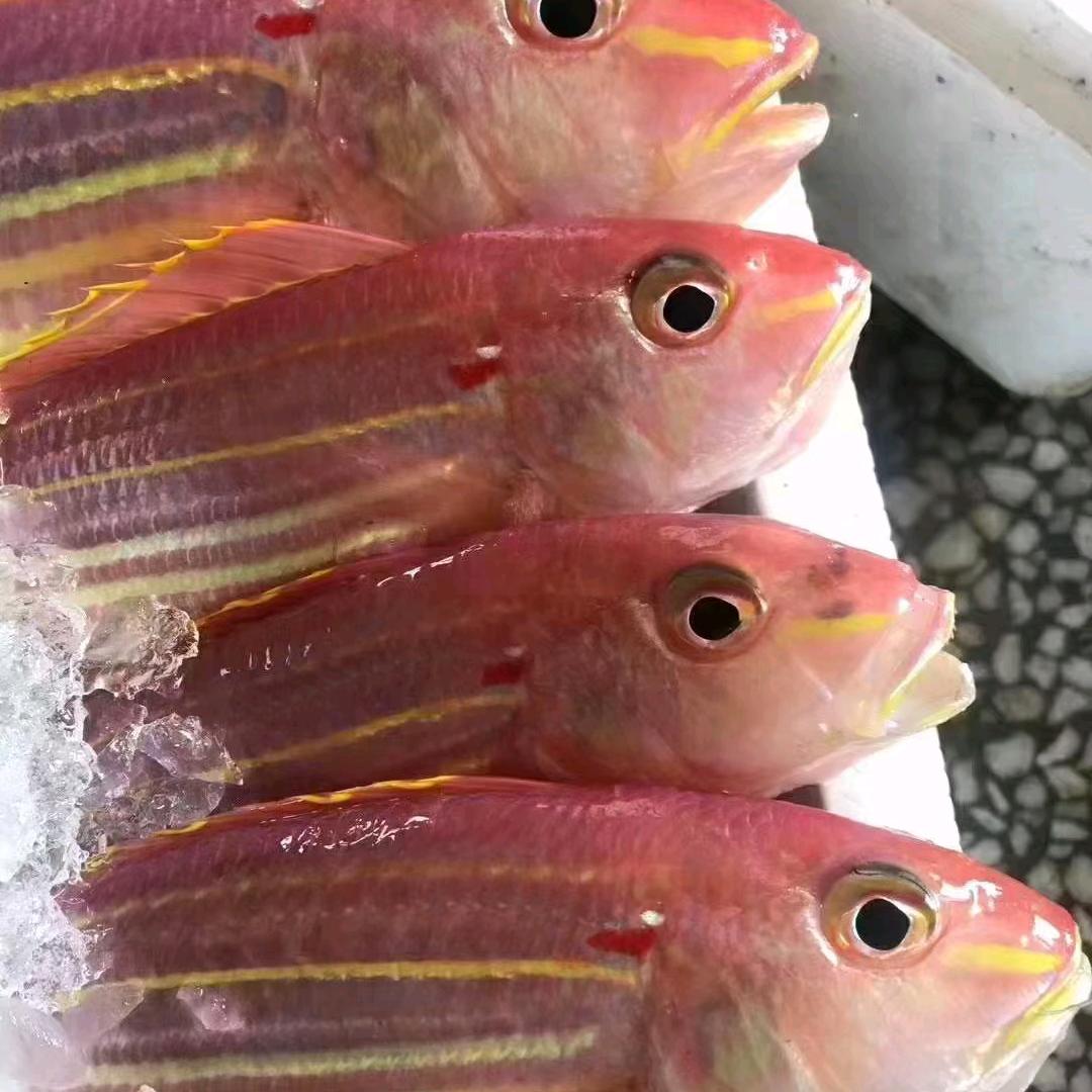 亮记海产