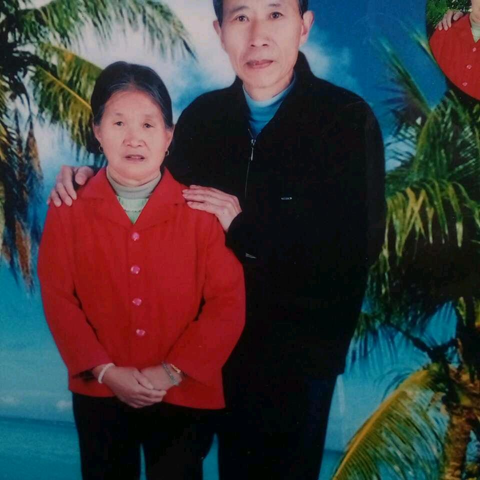 自在的劲松