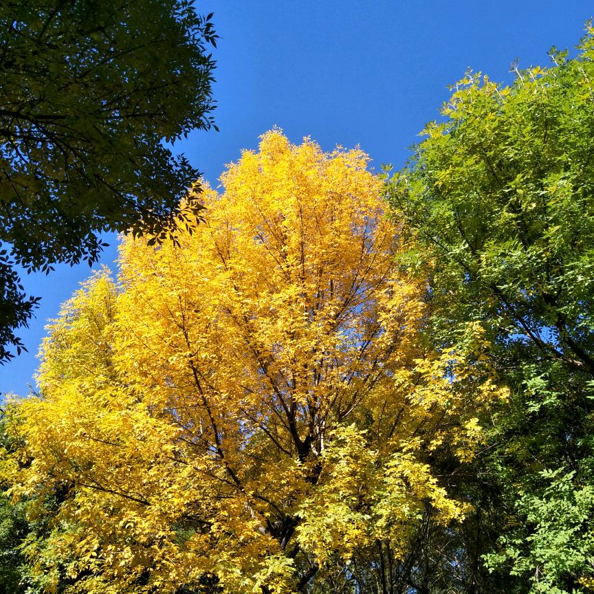 筱筱*^_^*