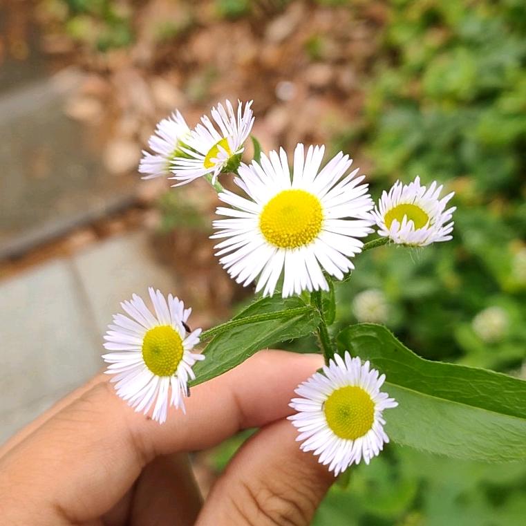 红绿灯