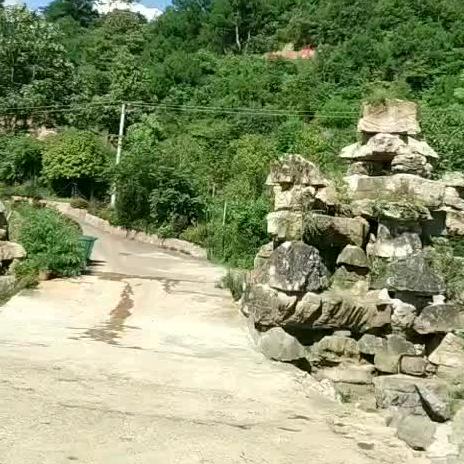 鞠躬尽瘁