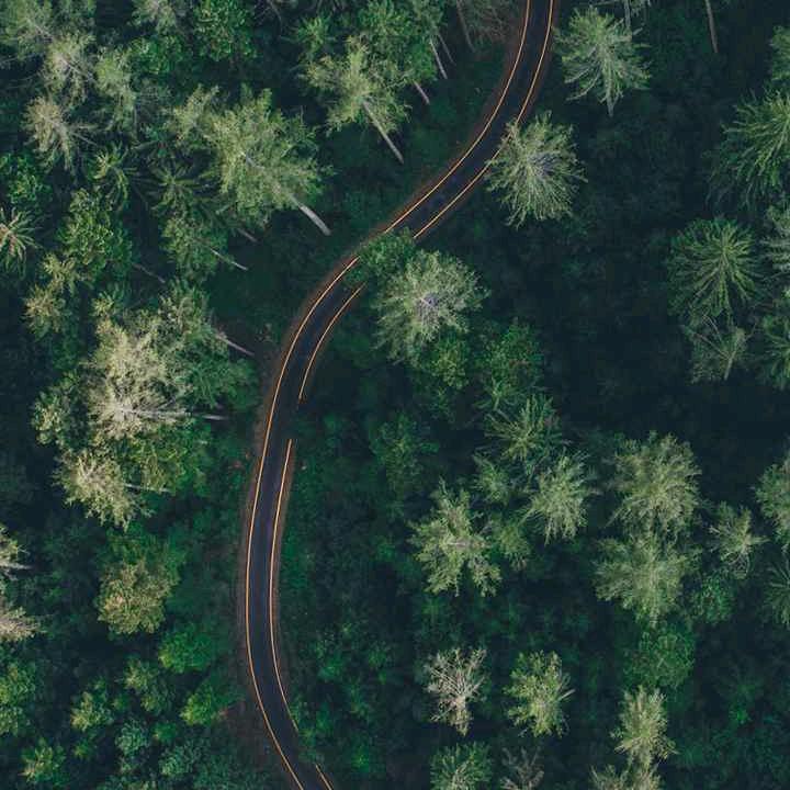英