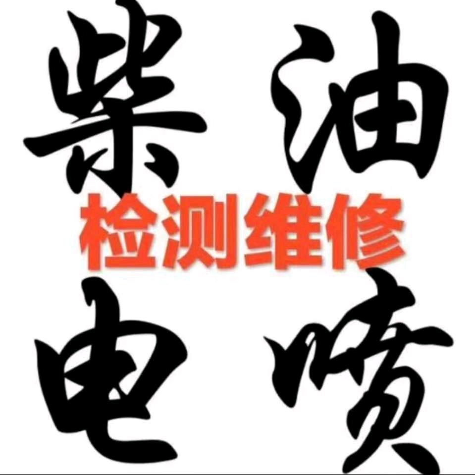 飞龙电喷油泵油嘴