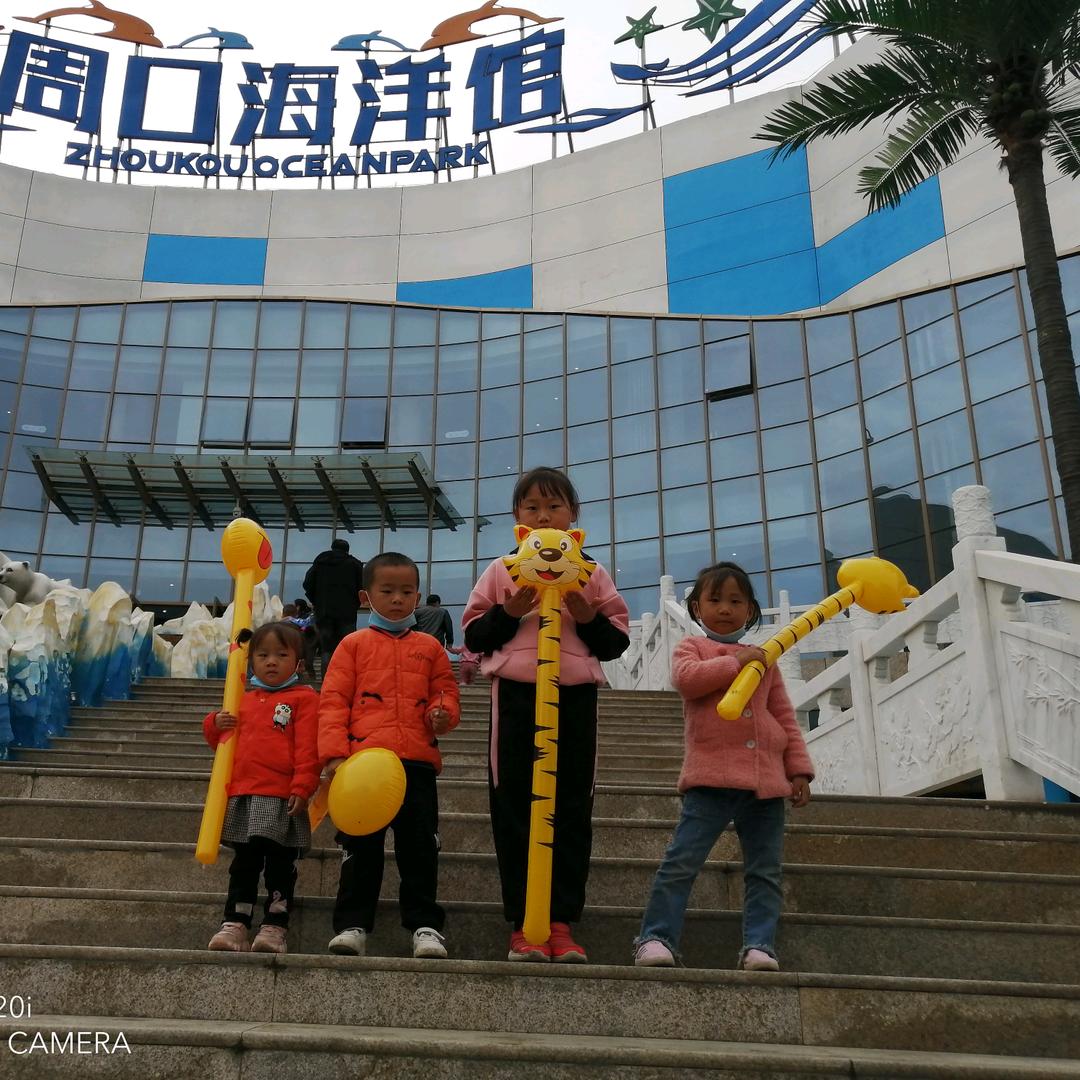 婷婷小清新阅读库