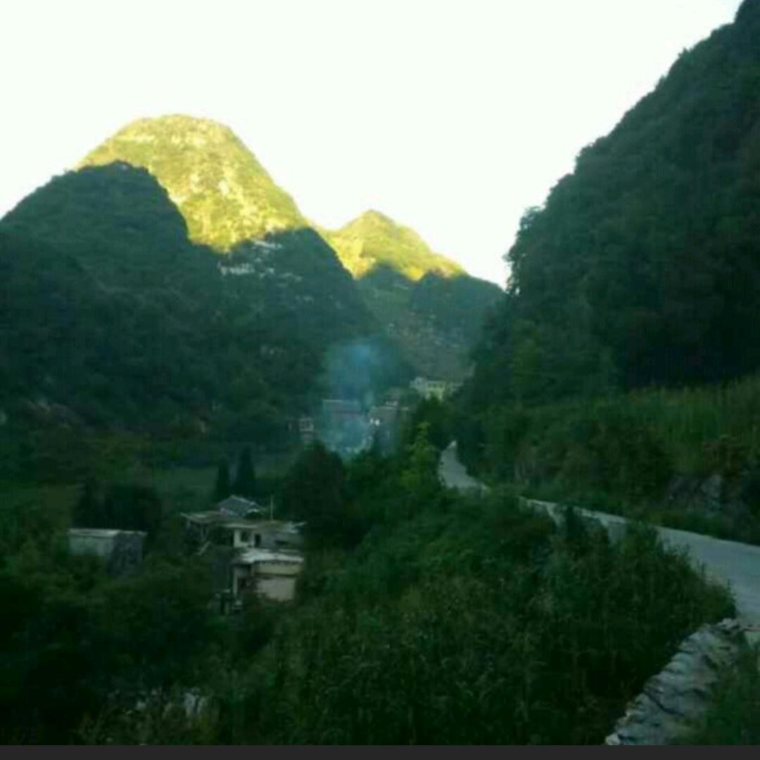 🐮🌹周🌹燕🌹🐮