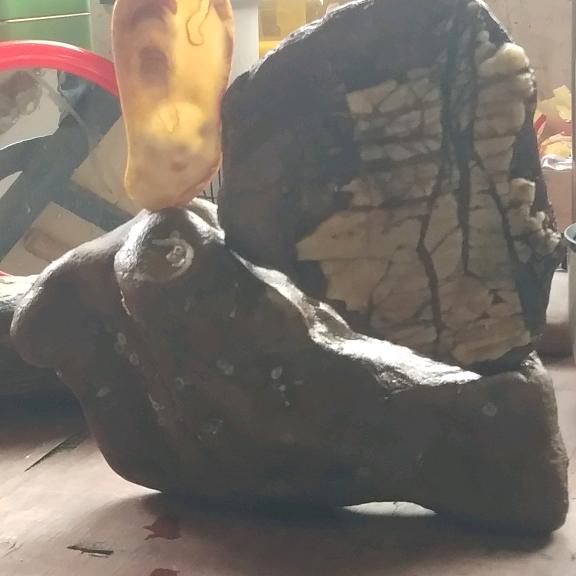 一切随缘，