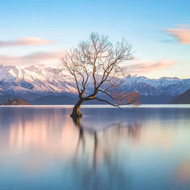 存存而生👦🏻✨：）