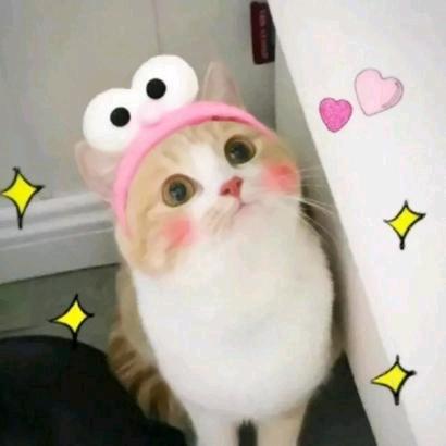 小喵玩游戏🐱