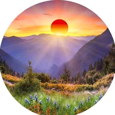 吴所谓惧(不定时直播)