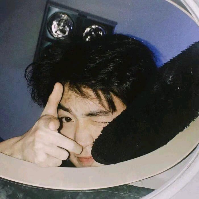 亦白杨头像