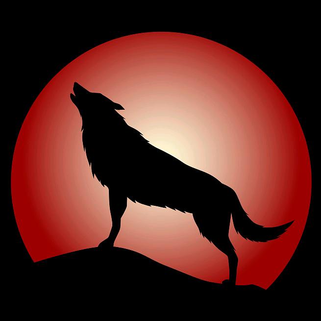 💞ℒᎭℯ⃝狼道💕⁵²º࿐