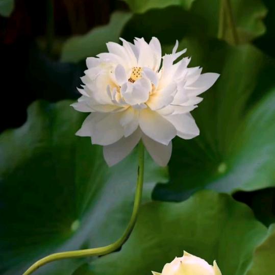 若水向善，善而行之